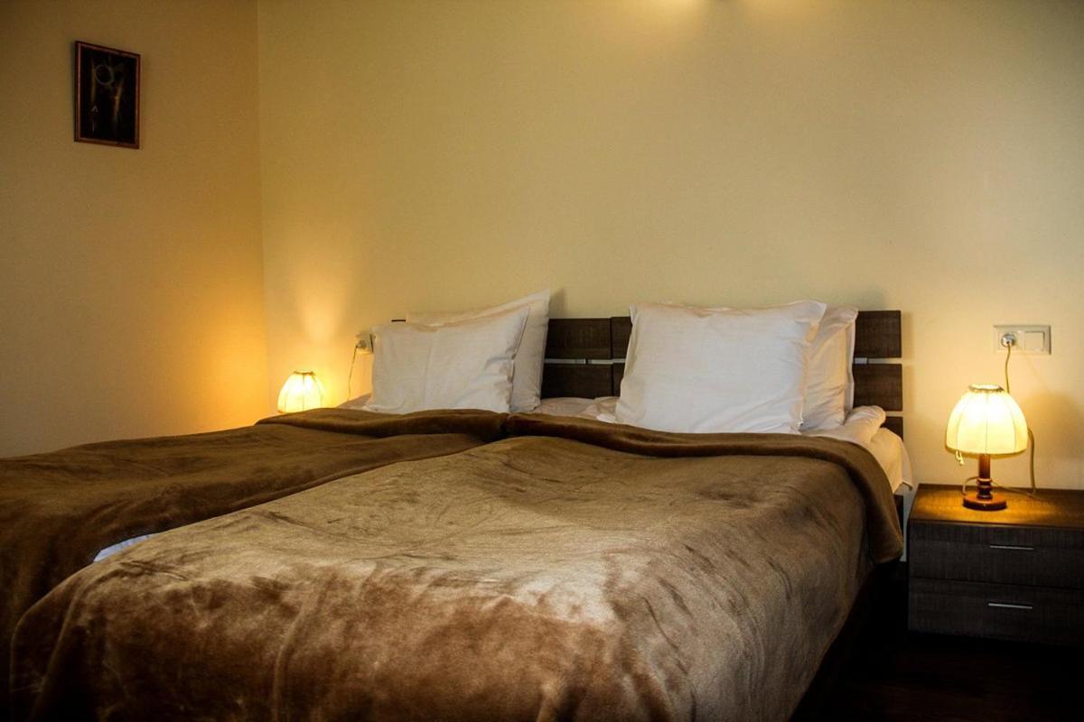 Guesthouse Shamo Gudauri Esterno foto